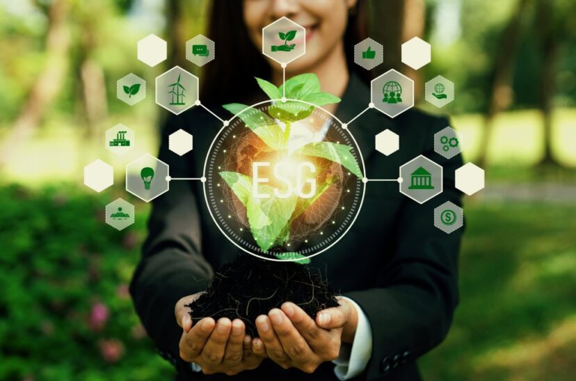 Cómo evitar el “greenwashing” y promover la sostenibilidad en la movilidad empresarial