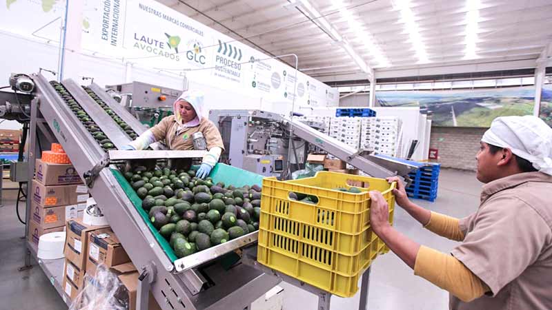 México: Exportaciones agroalimentarias son las más altas en 30 años