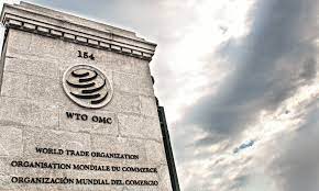 El crecimiento del comercio mundial se desacelerará a 1.7% en 2023: OMC